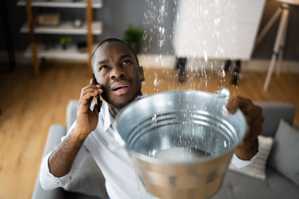 Best Ceiling water damage repair  in La Porte, IN