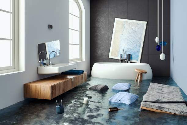 Best Flood damage cleanup  in La Porte, IN
