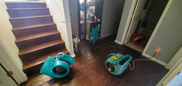 Best Water damage cleanup near me  in La Porte, IN