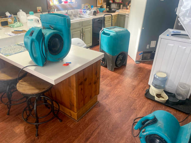 Best Commercial water damage restoration  in La Porte, IN