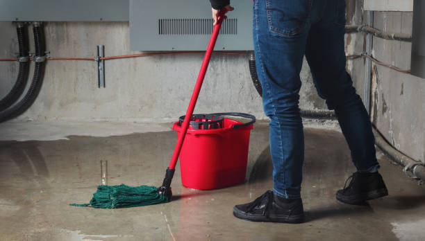 Best Basement water damage restoration  in La Porte, IN