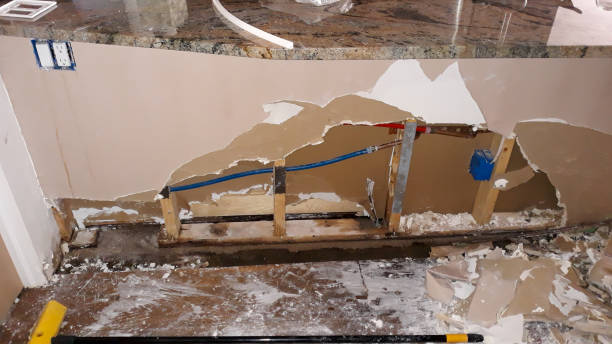 Best Professional water damage repair  in La Porte, IN