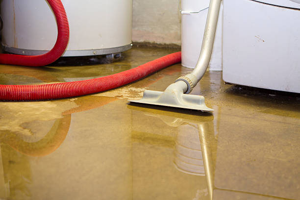 Best 24/7 water damage repair  in La Porte, IN