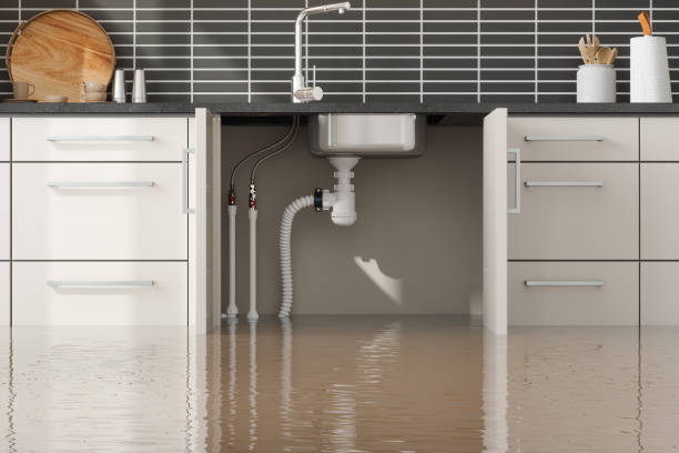 Best Water damage cleanup near me  in La Porte, IN